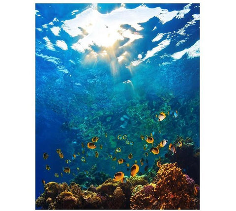 Image of The Underwater World Painting By Numbers Kit
