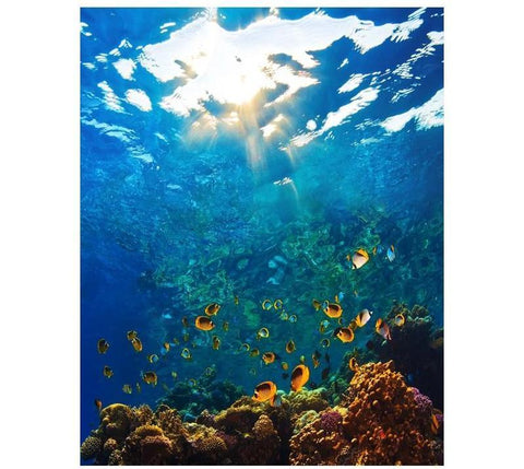 Image of The Underwater World Painting By Numbers Kit