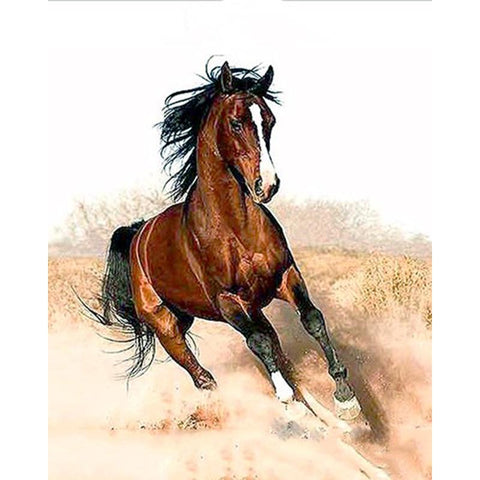 Image of Running Horse DIY Painting By Numbers Kit