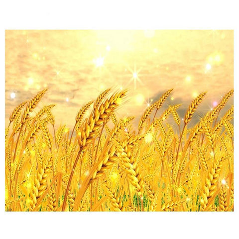 Image of Square Painting by Diamond kit 5D Corn Field