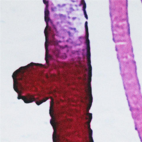 Image of Rainbow Fire by Pixie Cold Art Tapestry