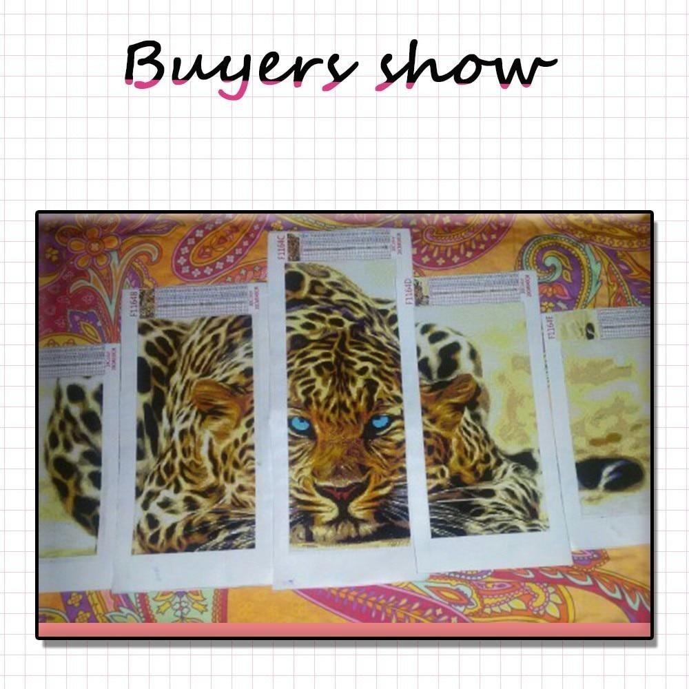 Painting By Diamond Kit Tiger At Large