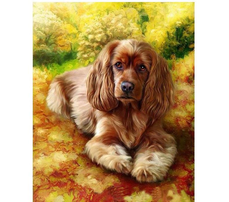 Thinking Dog Painting By Numbers Kit