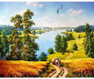 Rural Countryside Painting By Numbers Kit