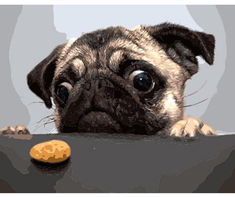 Image of Give Me My Dog Biscuit Painting By Numbers Kit