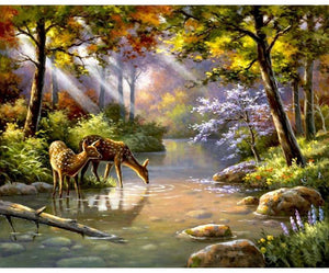 Deers In The Forest Paint By Numbers Kit