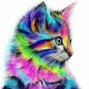 Painting By Numbers Kit Abstract Cat Animal DIY