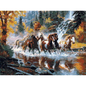 Horse River Animals DIY Painting By Numbers