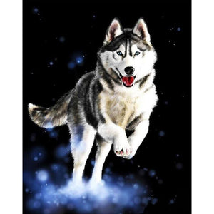 Huskies Animals DIY Painting By Numbers Kit