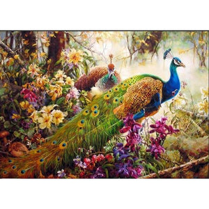 Colorful Peacock DIY Painting By Numbers