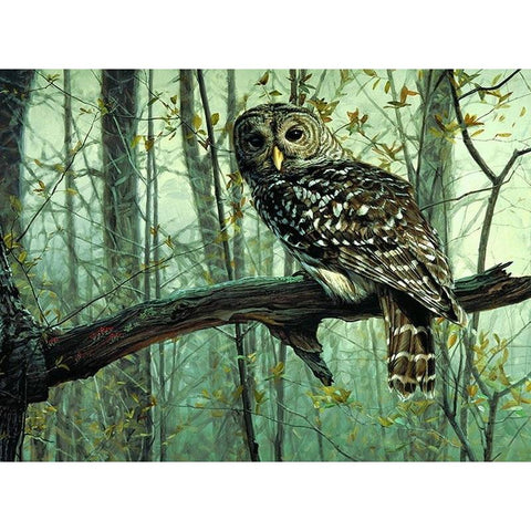 Image of Owl On The Tree DIY Painting By Numbers