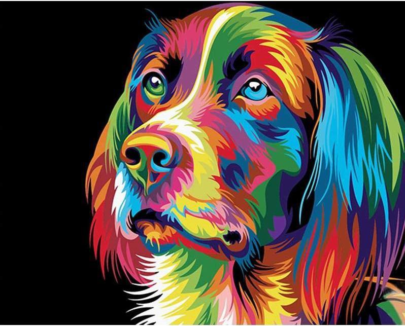 Colorful Dog DIY Painting By Numbers Kit