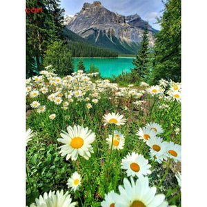 Painting By Diamond Kit Square Daisy Field By The Lake 5D