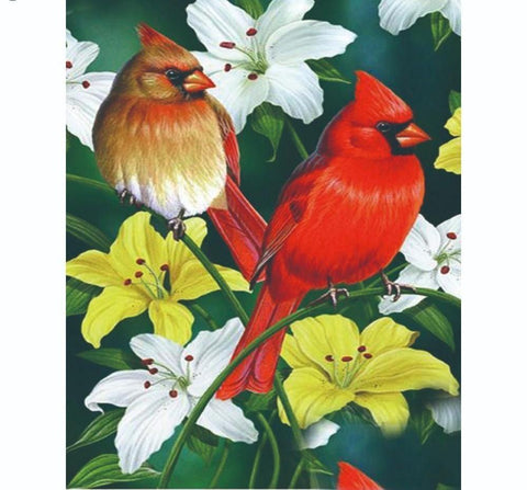 Image of 5D Square Diamond Painting Colorful Birds