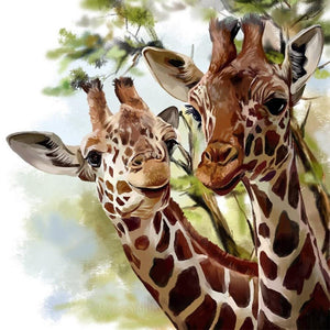 Painting By Diamond Kit Giraffes Together