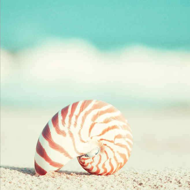 Painting By Diamond Kit Square Shells By The Sea