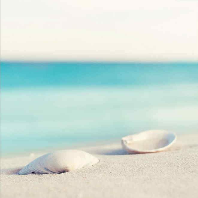 Painting By Diamond Kit Square Shells By The Sea