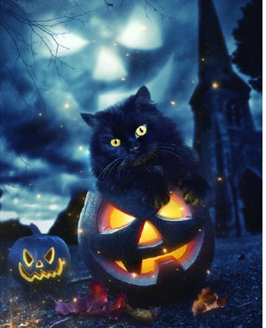 Painting By Diamond Kit Halloween Cat And Pumpkin