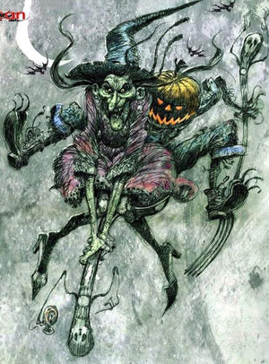 Painting By Diamond Painting Halloween Witch On Her Broom