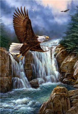 Image of Painting By Diamond Kit Square Eagle By The Waterfall 5D