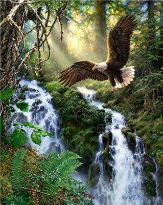 Image of Painting By Diamond Kit Square Eagle By The Waterfall 5D