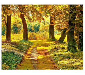 Painting By Diamond Kit Square Woods In The Autum 3D